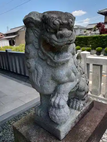 神明神社の狛犬