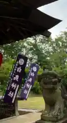 白鳥神社の狛犬