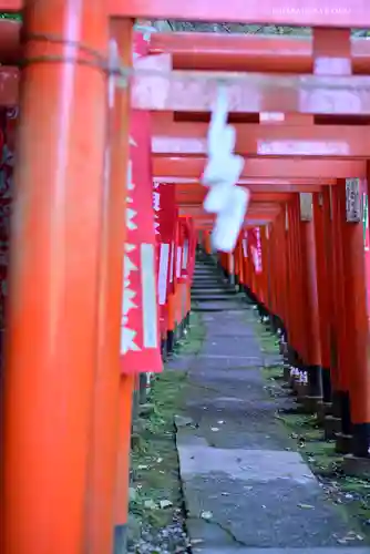 佐助稲荷神社の鳥居