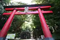 大宮八幡宮の鳥居