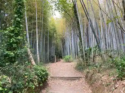 湊三嶋大明神社の自然