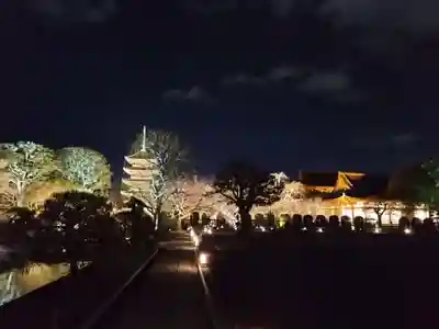 東寺(教王護国寺)の塔
