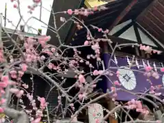 東京大神宮(東京都)