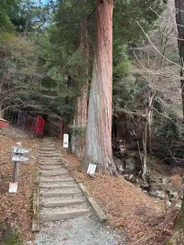 談山神社の{uncategorized: "未分類", other: "その他", undefined: "問題あり", building: "その他建物", grave: "お墓", sacred_gate: "鳥居", guardian: "狛犬", statue: "像", buddha: "仏像", history: "歴史", nature: "自然", garden: "庭園", animal: "動物", pagoda: "塔", temizu: "手水舎", mountain_gate: "山門・神門", sanctuary: "本殿・本堂", subordinate: "末社・摂社", art: "芸術", scenery: "景色", jizo: "地蔵", ema: "絵馬", goshuin: "御朱印", omikuji: "おみくじ", items: "授与品その他", amulet: "お守り", goshuincho: "御朱印帳", eats: "食事", festival: "お祭り", votive_dance: "神楽", shichigosan: "七五三参", wedding: "結婚式", experience: "体験その他", initially: "初詣", around: "周辺", anti_infection: "感染症対策"}