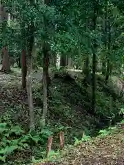 三和神社の自然