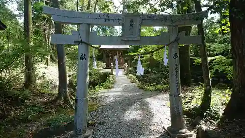 土佐神社の鳥居