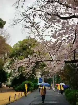阿佐ヶ谷神明宮(東京都)