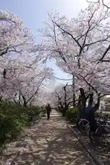 長岡天満宮の景色