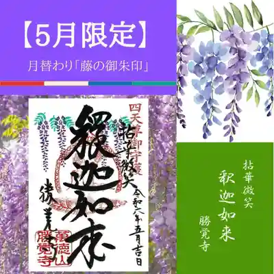 5月限定　藤の御朱印