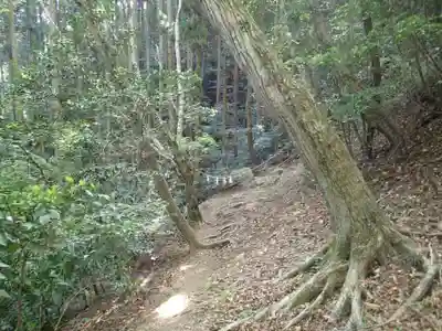 本宮神社(西寒多神社奥宮)の自然