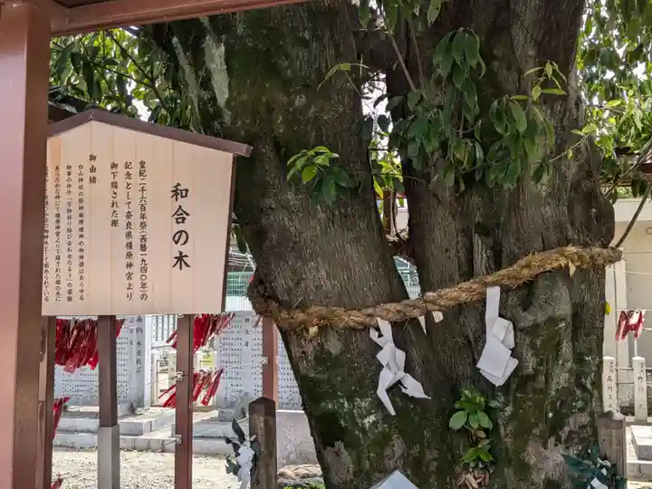 白山神社(二子町)の自然