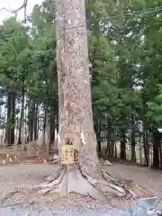 滑川神社 - 仕事と子どもの守り神の自然