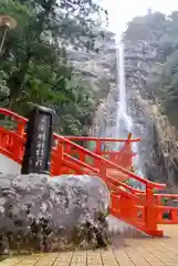 飛瀧神社（熊野那智大社別宮）の自然