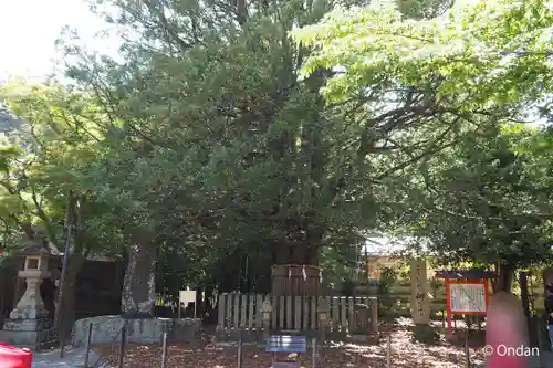 熊野速玉大社(和歌山県)