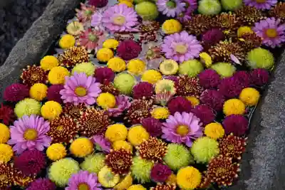 大鏑神社の手水舎