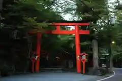 貴船神社の鳥居