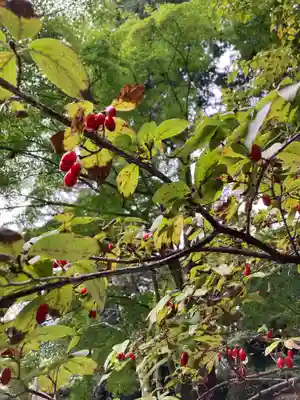 真正極楽寺(真如堂)(京都府)