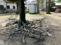 春日神社の御朱印