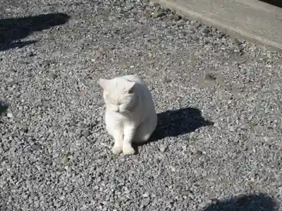 今戸神社(東京都)