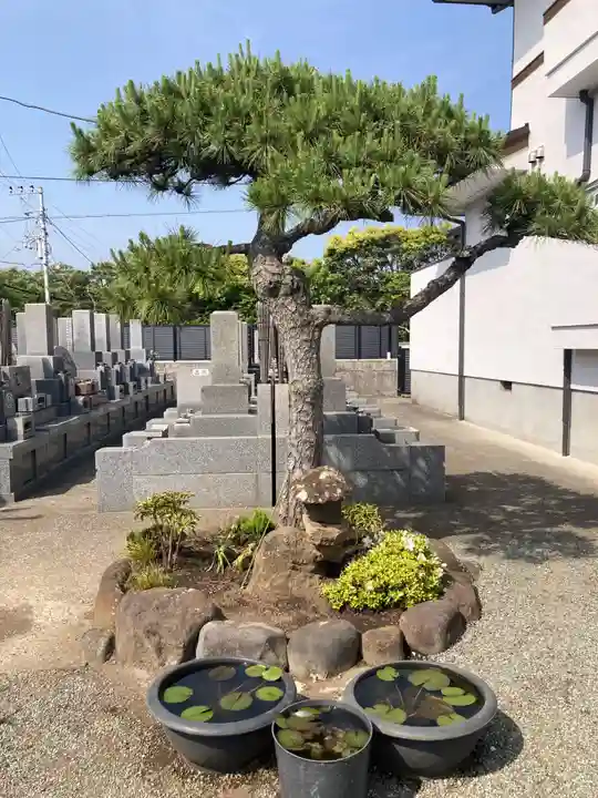 来迎寺(材木座)(神奈川県)