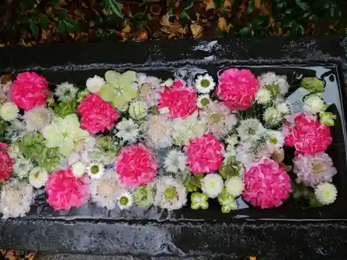 行田八幡神社(埼玉県)