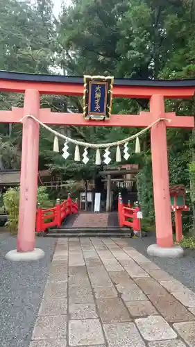 天河大辨財天社の鳥居