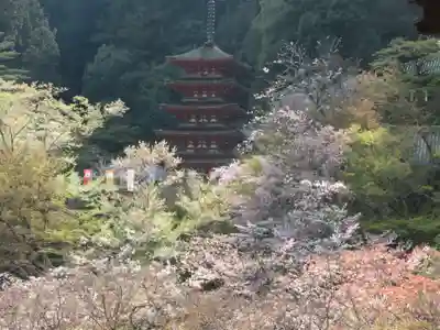 長谷寺(奈良県)