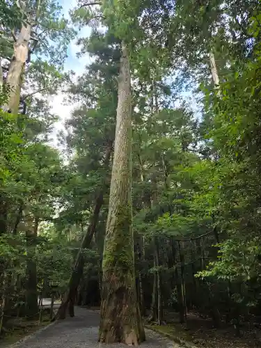 瀧原宮(皇大神宮別宮)(三重県)