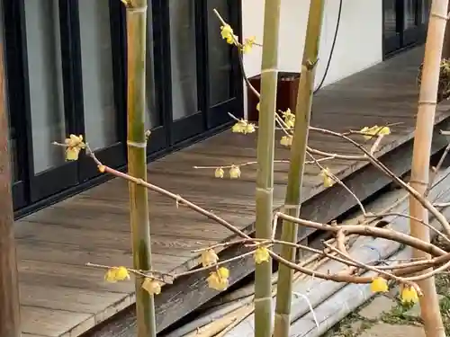 遠照山 光明寺（尼崎大仏）(兵庫県)