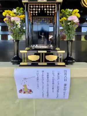 貞源寺の{uncategorized: "未分類", other: "その他", undefined: "問題あり", building: "その他建物", grave: "お墓", sacred_gate: "鳥居", guardian: "狛犬", statue: "像", buddha: "仏像", history: "歴史", nature: "自然", garden: "庭園", animal: "動物", pagoda: "塔", temizu: "手水舎", mountain_gate: "山門・神門", sanctuary: "本殿・本堂", subordinate: "末社・摂社", art: "芸術", scenery: "景色", jizo: "地蔵", ema: "絵馬", goshuin: "御朱印", omikuji: "おみくじ", items: "授与品その他", amulet: "お守り", goshuincho: "御朱印帳", eats: "食事", festival: "お祭り", votive_dance: "神楽", shichigosan: "七五三参", wedding: "結婚式", experience: "体験その他", initially: "初詣", around: "周辺", anti_infection: "感染症対策"}