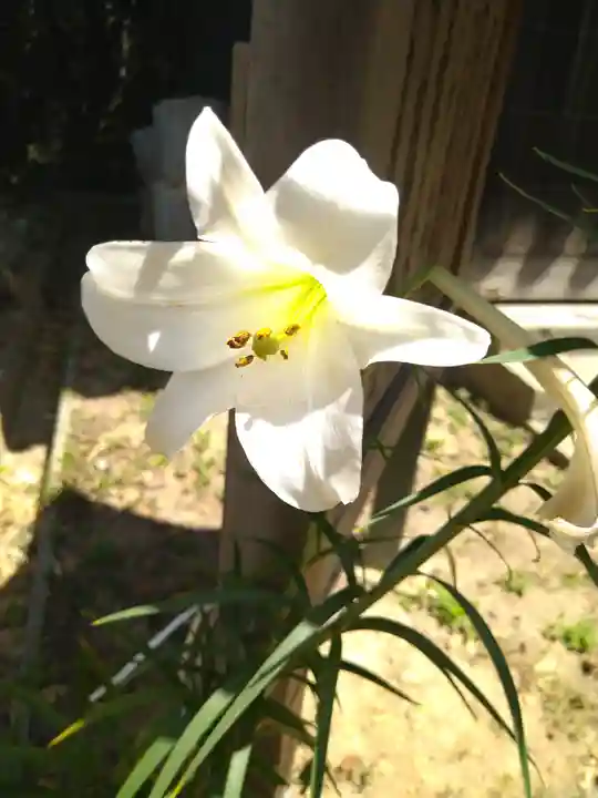 牛窓神社の自然
