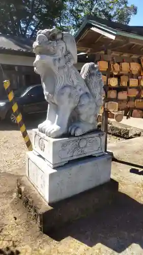 櫻岡大神宮の狛犬