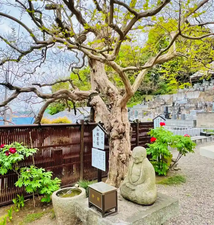 福厳寺の{uncategorized: "未分類", other: "その他", undefined: "問題あり", building: "その他建物", grave: "お墓", sacred_gate: "鳥居", guardian: "狛犬", statue: "像", buddha: "仏像", history: "歴史", nature: "自然", garden: "庭園", animal: "動物", pagoda: "塔", temizu: "手水舎", mountain_gate: "山門・神門", sanctuary: "本殿・本堂", subordinate: "末社・摂社", art: "芸術", scenery: "景色", jizo: "地蔵", ema: "絵馬", goshuin: "御朱印", omikuji: "おみくじ", items: "授与品その他", amulet: "お守り", goshuincho: "御朱印帳", eats: "食事", festival: "お祭り", votive_dance: "神楽", shichigosan: "七五三参", wedding: "結婚式", experience: "体験その他", initially: "初詣", around: "周辺", anti_infection: "感染症対策"}