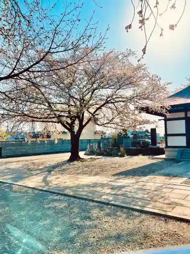 長明寺の{uncategorized: "未分類", other: "その他", undefined: "問題あり", building: "その他建物", grave: "お墓", sacred_gate: "鳥居", guardian: "狛犬", statue: "像", buddha: "仏像", history: "歴史", nature: "自然", garden: "庭園", animal: "動物", pagoda: "塔", temizu: "手水舎", mountain_gate: "山門・神門", sanctuary: "本殿・本堂", subordinate: "末社・摂社", art: "芸術", scenery: "景色", jizo: "地蔵", ema: "絵馬", goshuin: "御朱印", omikuji: "おみくじ", items: "授与品その他", amulet: "お守り", goshuincho: "御朱印帳", eats: "食事", festival: "お祭り", votive_dance: "神楽", shichigosan: "七五三参", wedding: "結婚式", experience: "体験その他", initially: "初詣", around: "周辺", anti_infection: "感染症対策"}