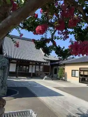 宝性寺(堀込薬師)の本殿