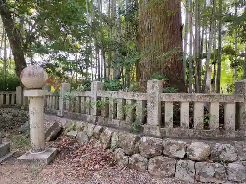 朝倉神社の自然
