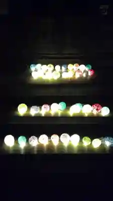 日蓮宗 総本山 塔頭 定林坊(じょうりんぼう)(山梨県)