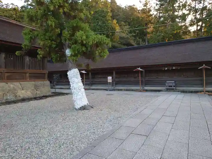 出雲大社(島根県)