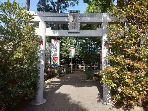 亀ケ池八幡宮の鳥居