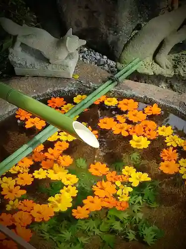 東京羽田 穴守稲荷神社の手水