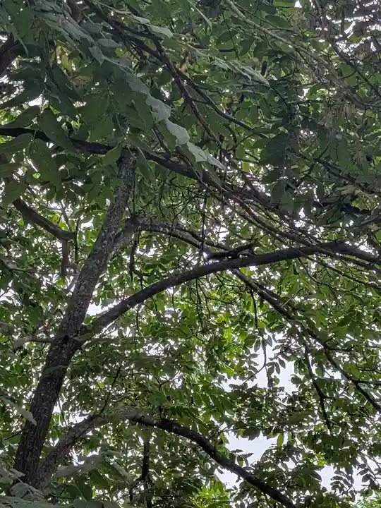 鷹栖神社(北海道)