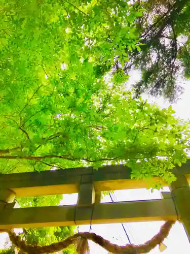 日先神社の鳥居