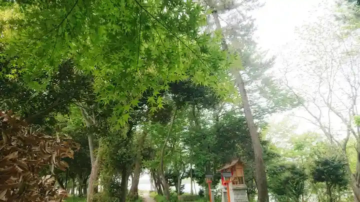 若宮神明社の自然