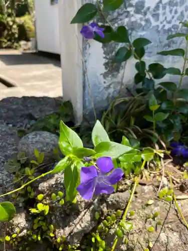 阿弥陀寺(和歌山県)