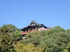 朝護孫子寺(奈良県)