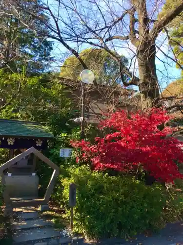 阿佐ヶ谷神明宮のその他建物