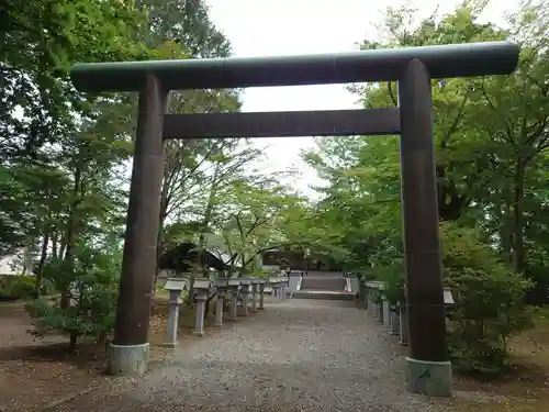 信濃神社の鳥居