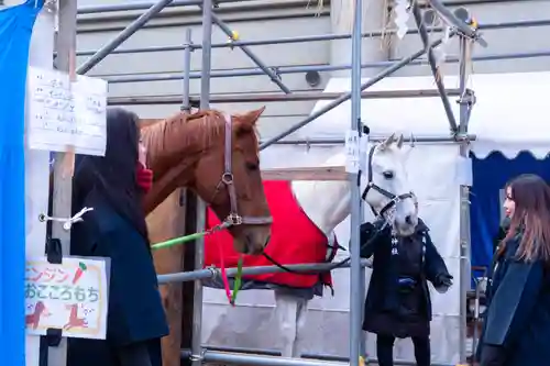 藤森神社(京都府)