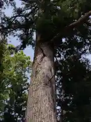 八柱神社(三重県)