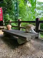 唐澤山神社の動物